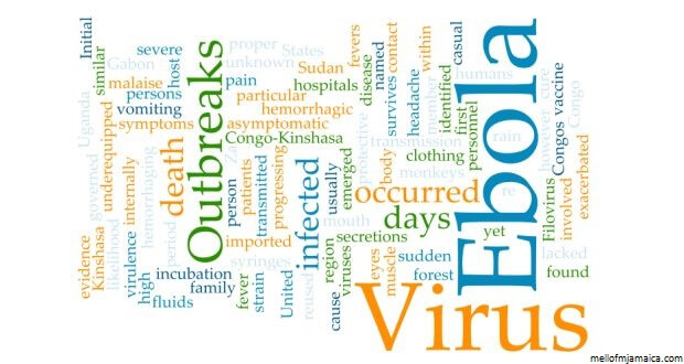 Kondisi Pasien Suspect Ebola Kediri Membaik