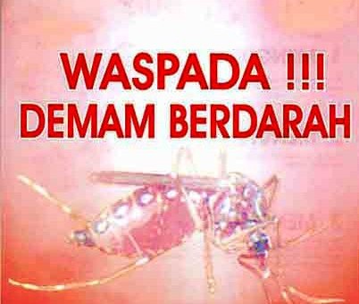 Demam Berdarah Biasanya Mulai Meningkat di Januari